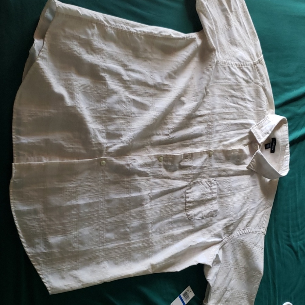Button down shirt